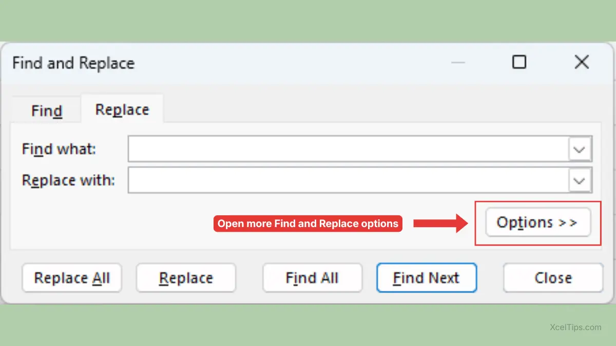 Excel Find and Replace dialog box showing the Options button for more search settings.