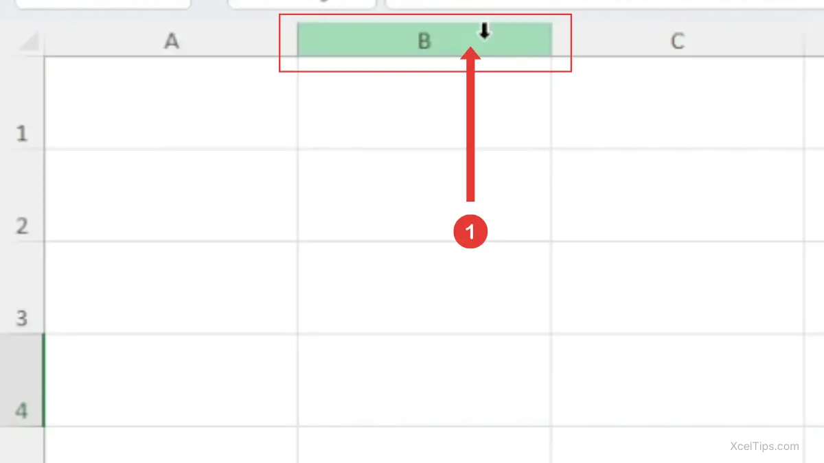 Excel worksheet showing the mouse pointer positioned over column letter B before selecting the full column.