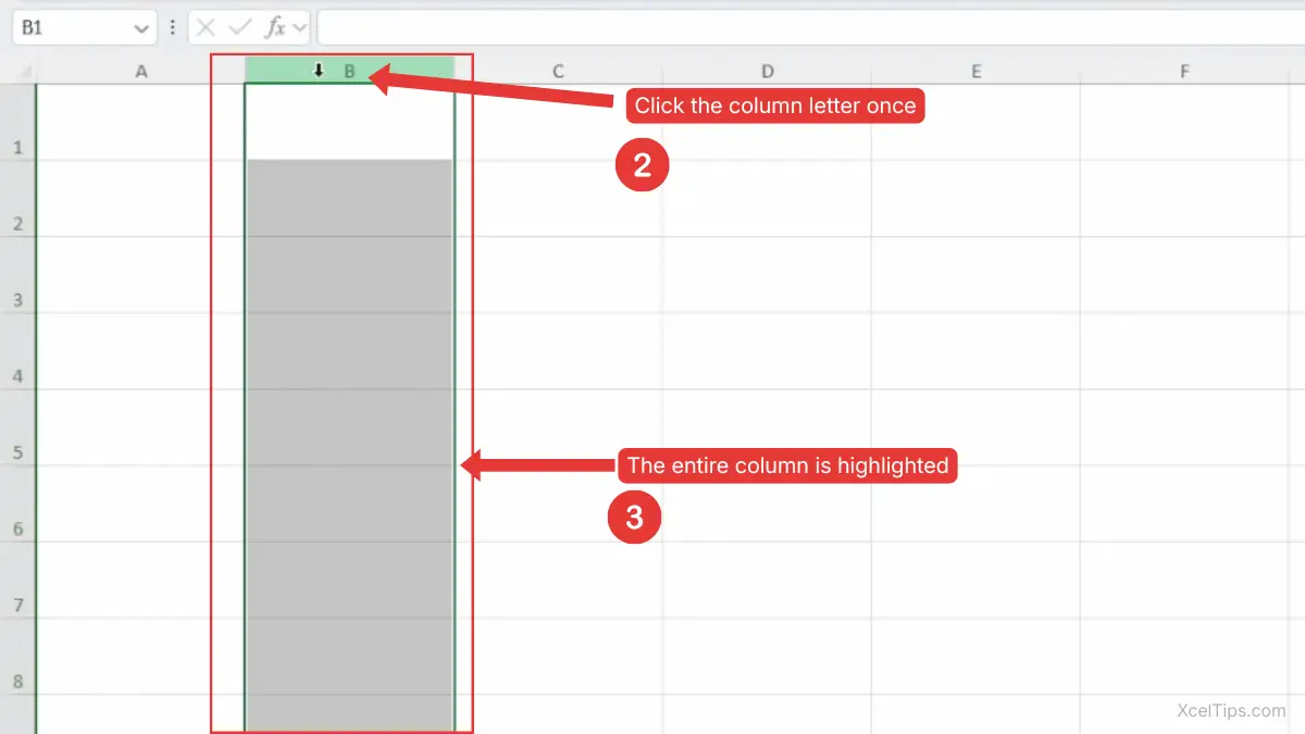 Excel worksheet showing column B fully selected after clicking the column letter once.