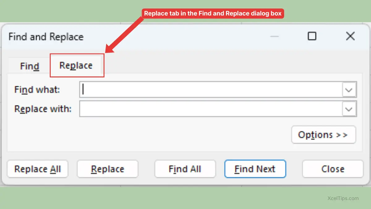 Excel Find and Replace dialog box showing the Replace tab selected.